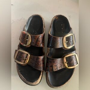 Birkenstock Croc Arizona Big Buckle